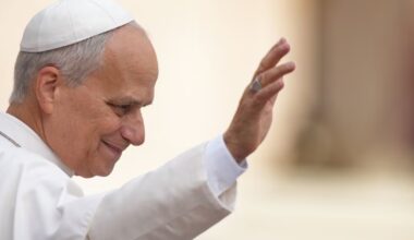Pope Leo has lung cancer, Vatican says - CTV News