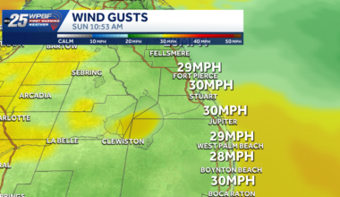 Strong winds, rough surf along east coast