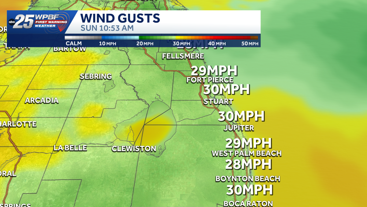 Strong winds, rough surf along east coast