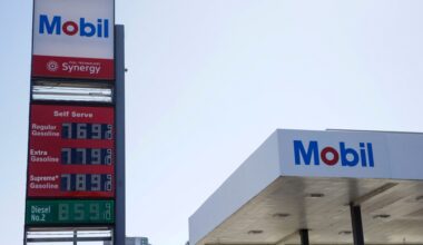Trump says US may ask Europe to release diesel reserves | Donald Trump News