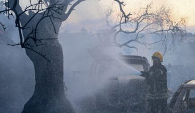Palestine weekly: Olive harvest opens under assault | Israel-Palestine conflict News