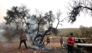 Israeli settlers continue pogrom amid olive harvest in occupied West Bank | Israel-Palestine conflict News