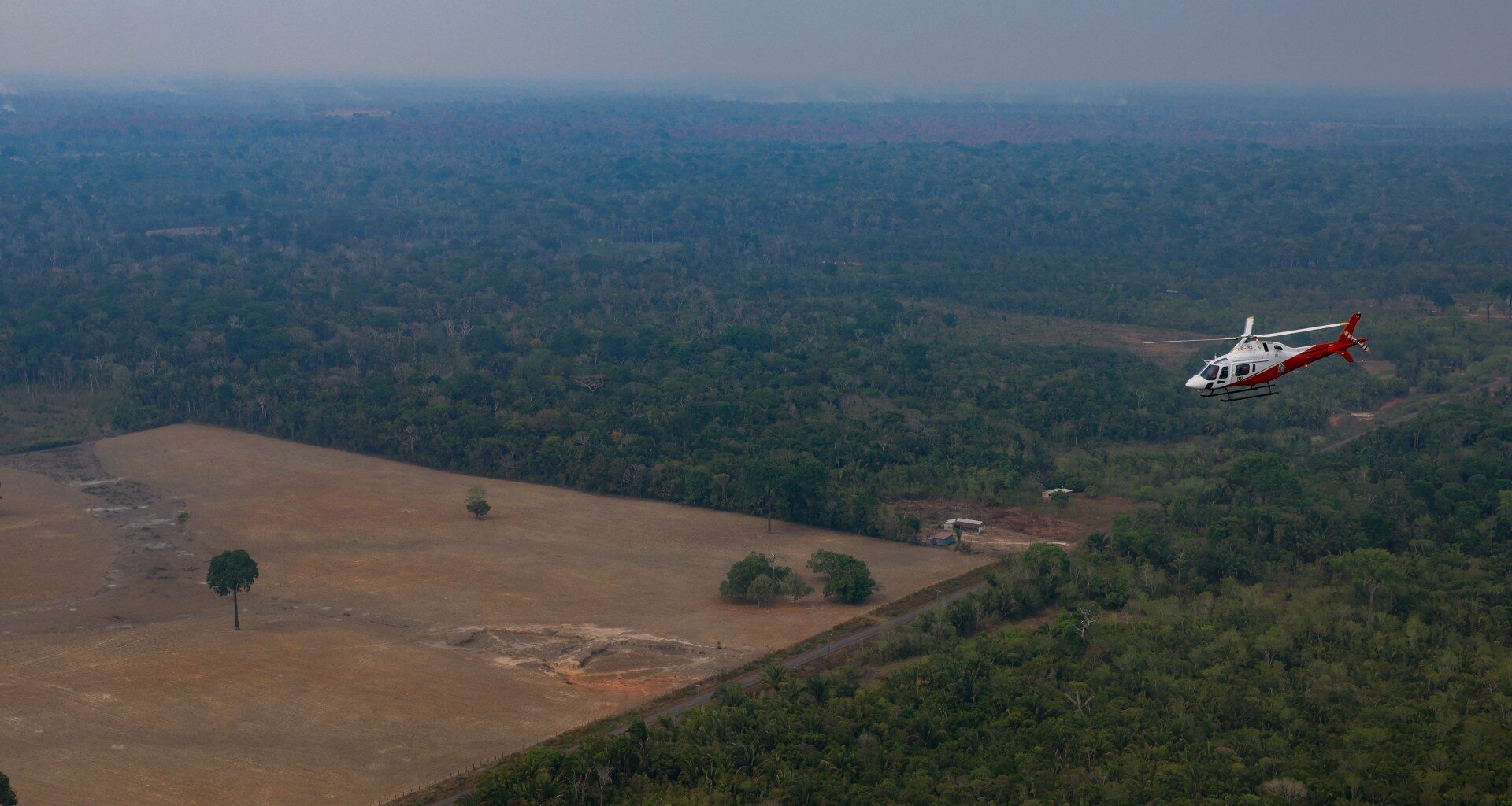 Brazil’s Amazon deforestation hits lowest level on record | Climate News