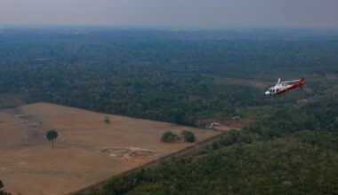 Brazil’s Amazon deforestation hits lowest level on record | Climate News