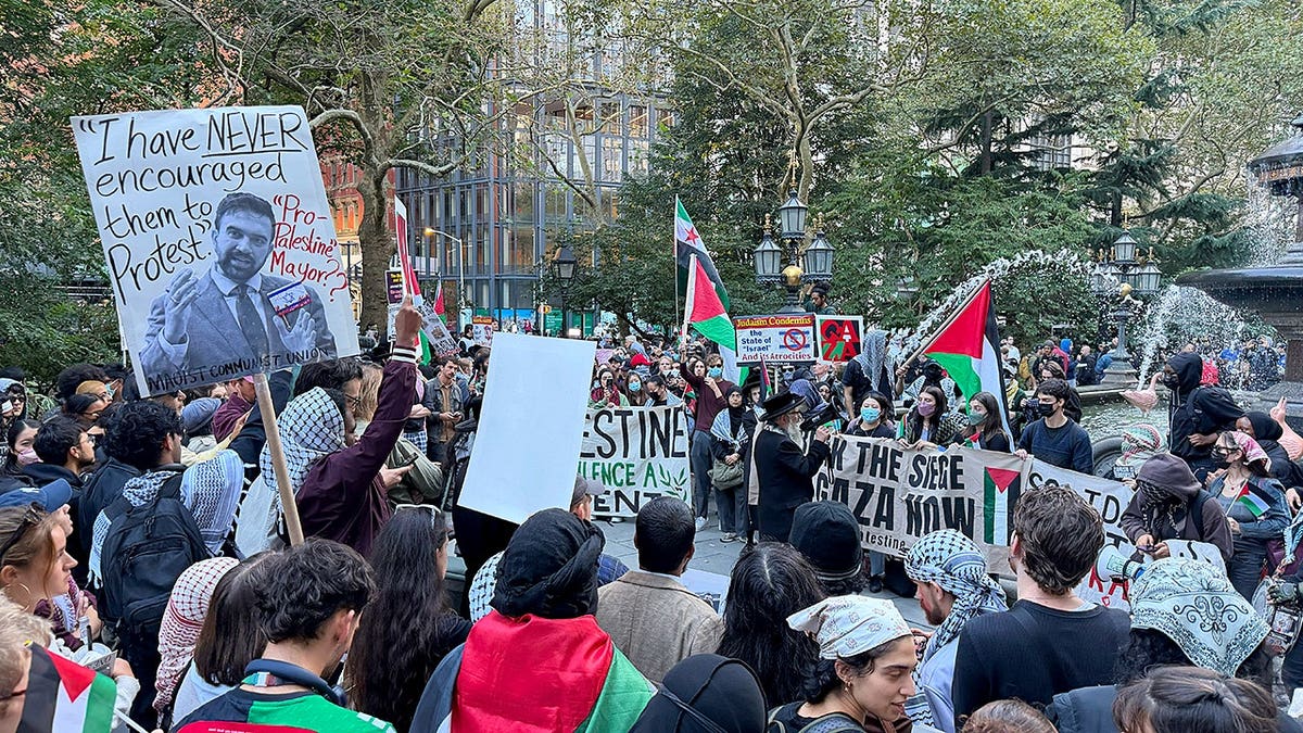 Protestors gathers waving Palestinian flags outside NYC City Hall