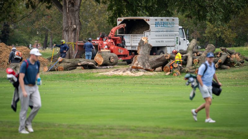Judge ‘furious’ as 430 trees are chopped down from golf course Trump wants to renovate