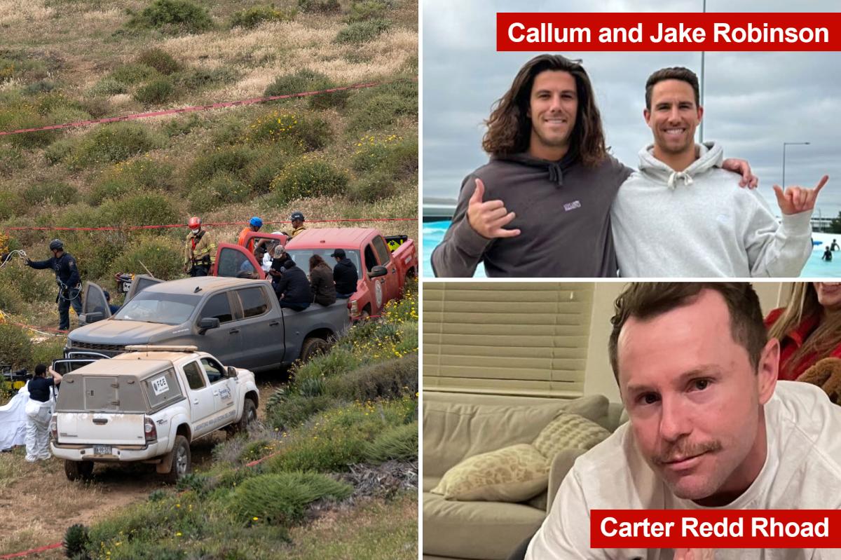 3 Mexican men found guilty of killing Australian brothers, US pal on surfing trip