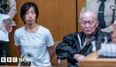 California pair charged with abusing at least 14 surrogate-born children - BBC