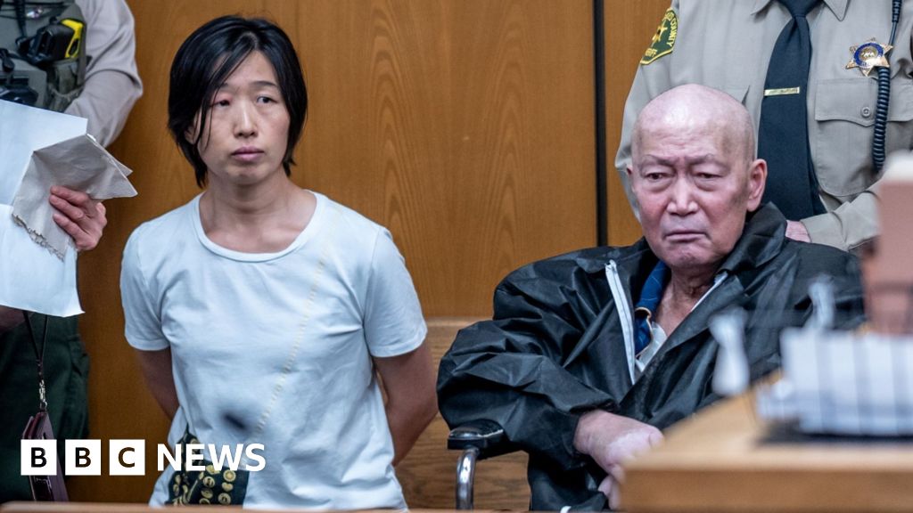 California pair charged with abusing at least 14 surrogate-born children - BBC