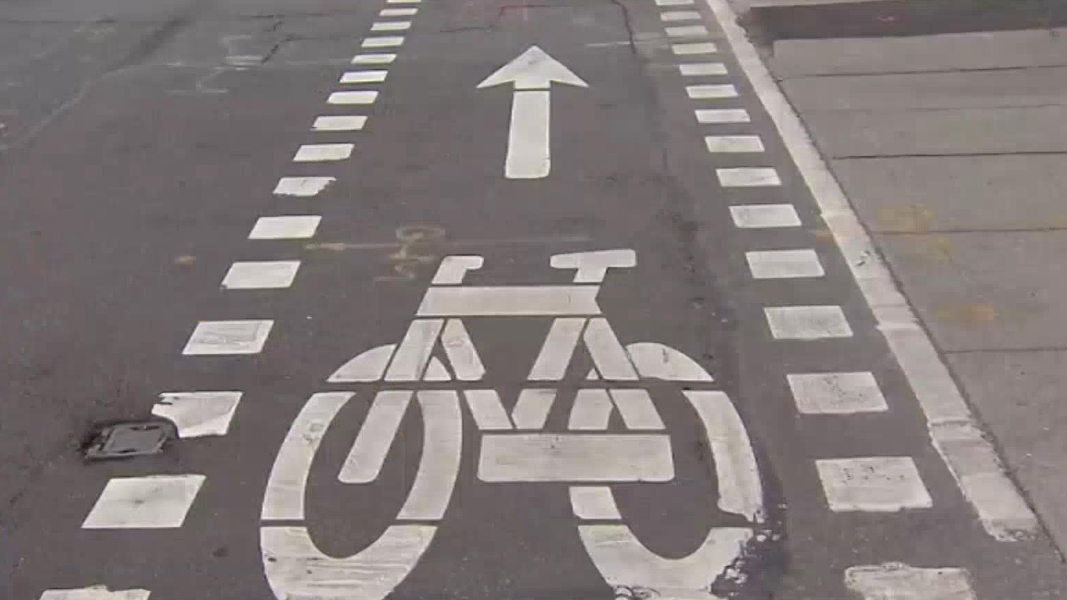 Nearly two-thirds of Torontonians support bike lane removals on major streets by the province: poll