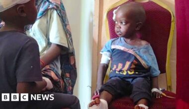 Sudan hospitals deliberately targeted in el-Fasher by RSF fighters, BBC finds - BBC