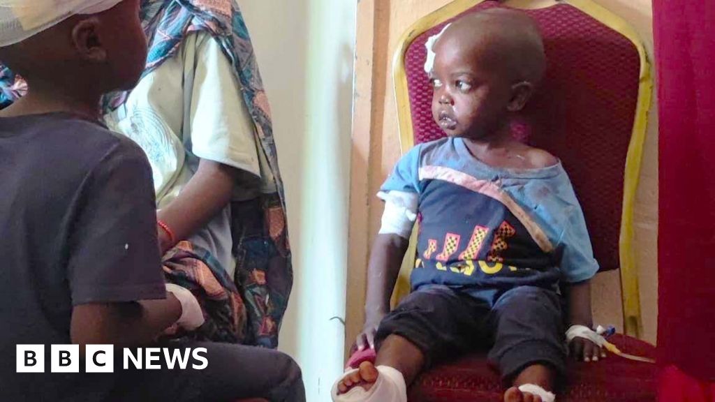 Sudan hospitals deliberately targeted in el-Fasher by RSF fighters, BBC finds - BBC