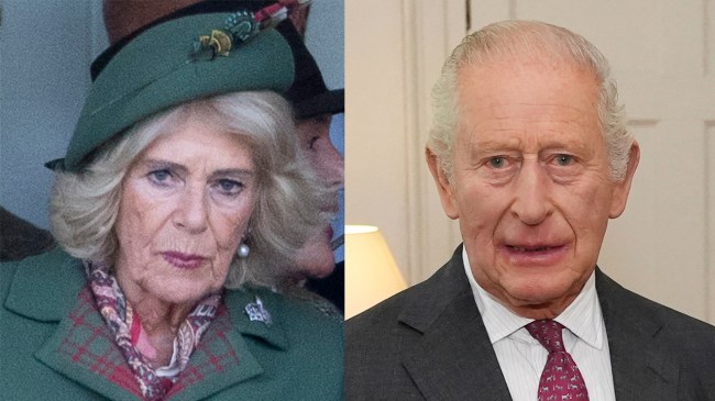 How Did Queen Camilla's Doctor Die?