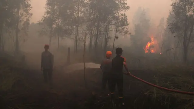 Indonesian firefighters work to extinguish wildfires near a residential area in the Sematang Borang district of Palembang, South Sumatra, Indonesia, on October 1, 2026