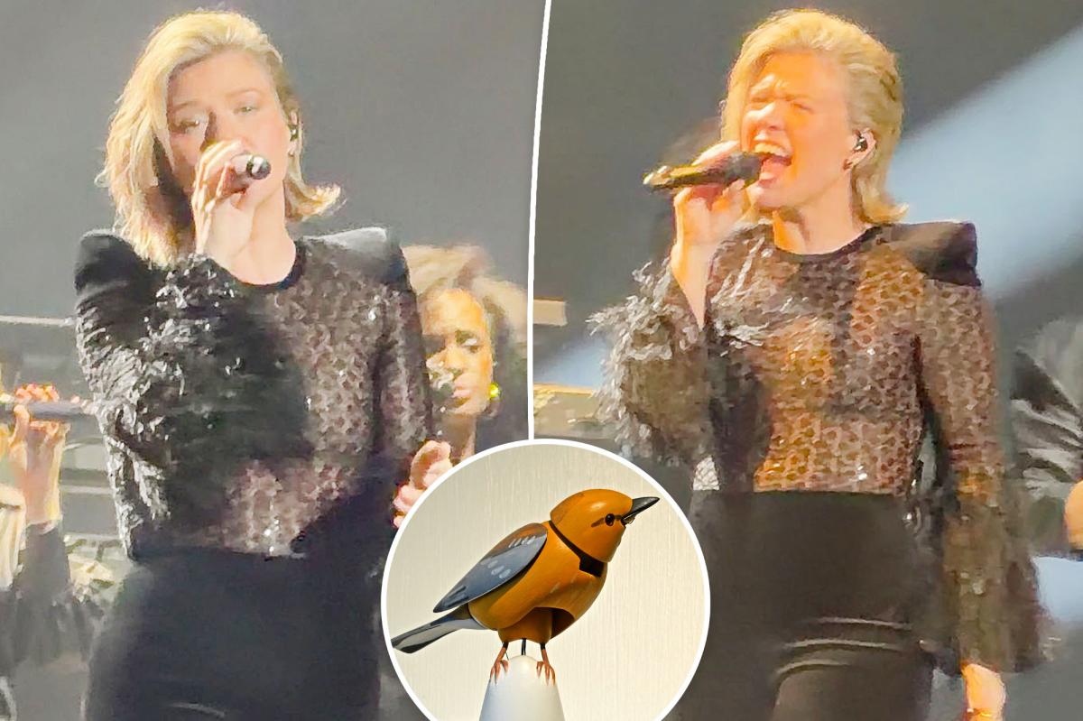Kelly Clarkson returns to stage as drama with Brooklyn store over toy bird rages on