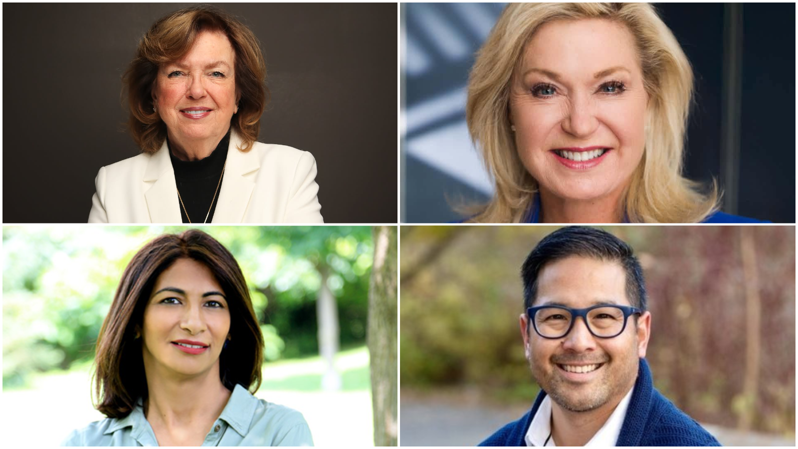 Crombie leads in Mississauga mayoral race, Tedjo makes most gains since summer: poll