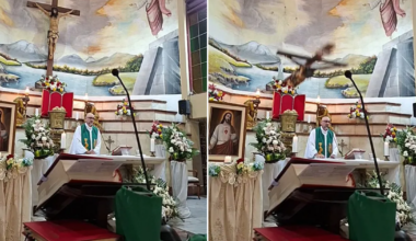 Priest crushed to death by giant cross during livestreamed Mass | News World