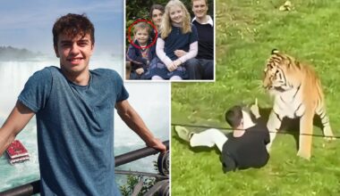 How William Chapman got into tiger enclosure before being mauled