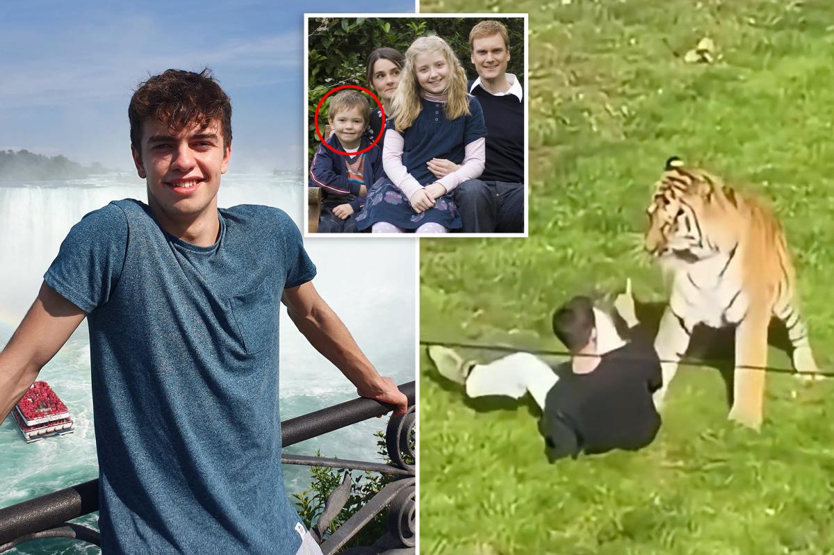 How William Chapman got into tiger enclosure before being mauled