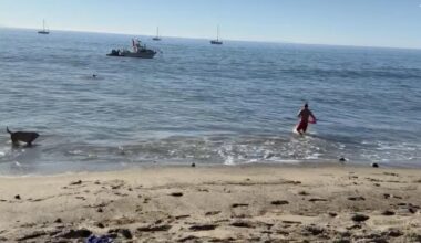 Kayaker attacked by a shark off Malibu as dramatic video emerges