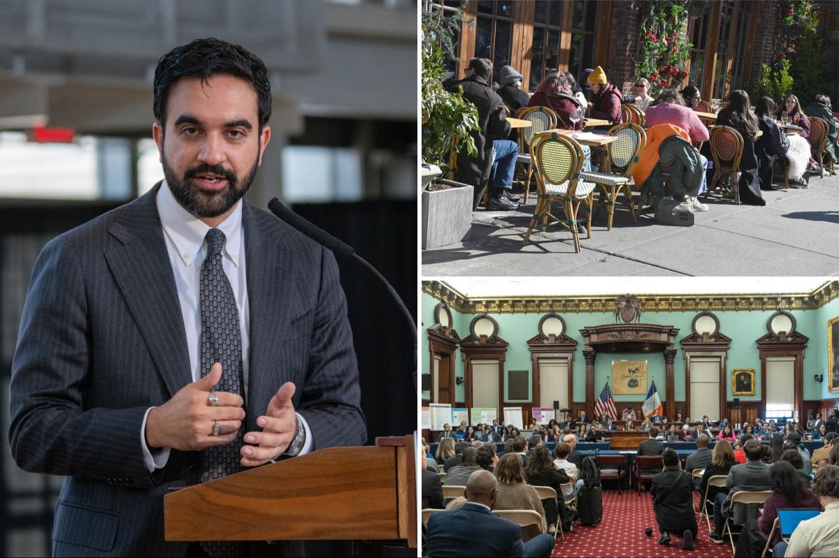 NYC's Zohran Mamdani weaponizing ads to push ballot questions that would 'take power from the people': critics