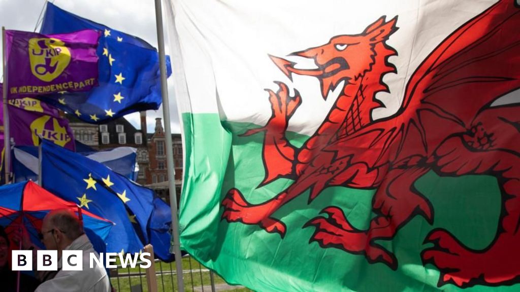 Andy Burnham should back EU membership now, says Plaid Westminster leader - BBC