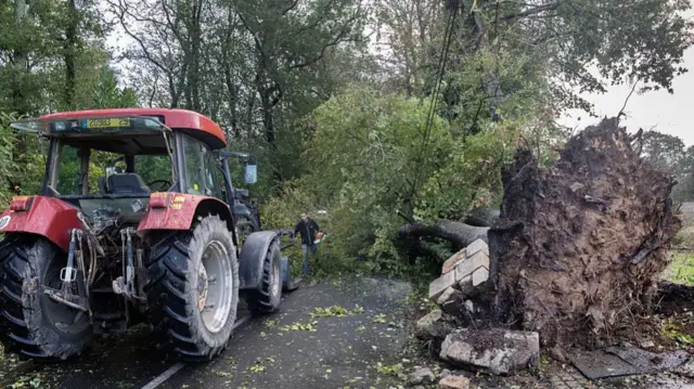 A man cuts branches from a fallen tree in Plomeur, western France, on October 23, 2026 as Storm Austen hits the coasts of France