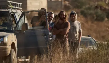 UN experts urge Israel to protect West Bank olive farmers