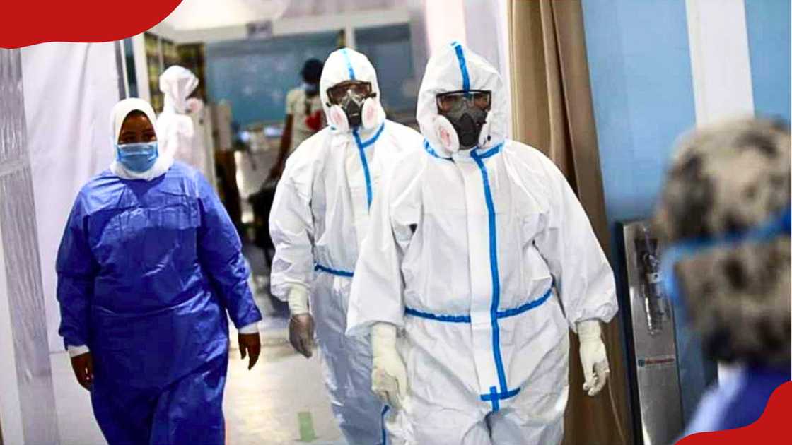 Ebola virus