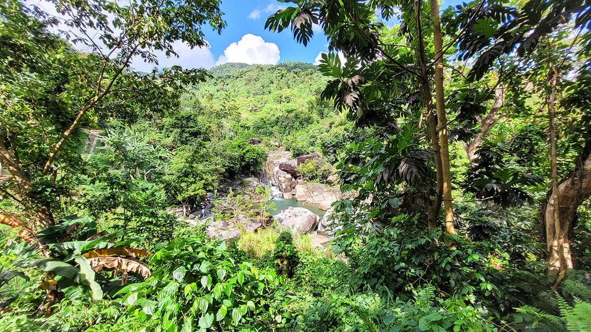 El Hippie waterfall cascades in Naguabo, Puerto Rico.