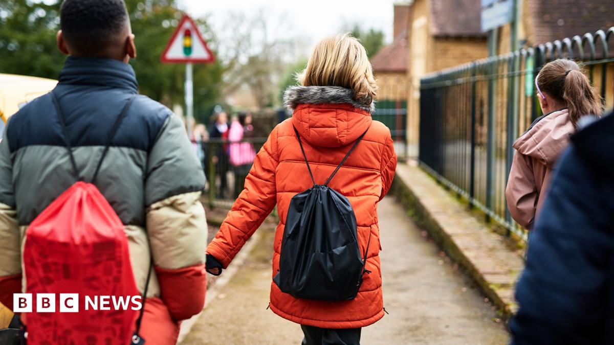 ADHD and autism at risk of over-diagnosis, says report, as author warns of rise in mental ill health