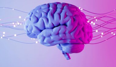 Optogenetics wins the Nobel – one neuroscience breakthrough in a line of technological innovations helping scientists map and control the brain