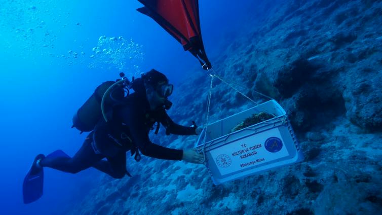 Divers transport material discovered during the research.