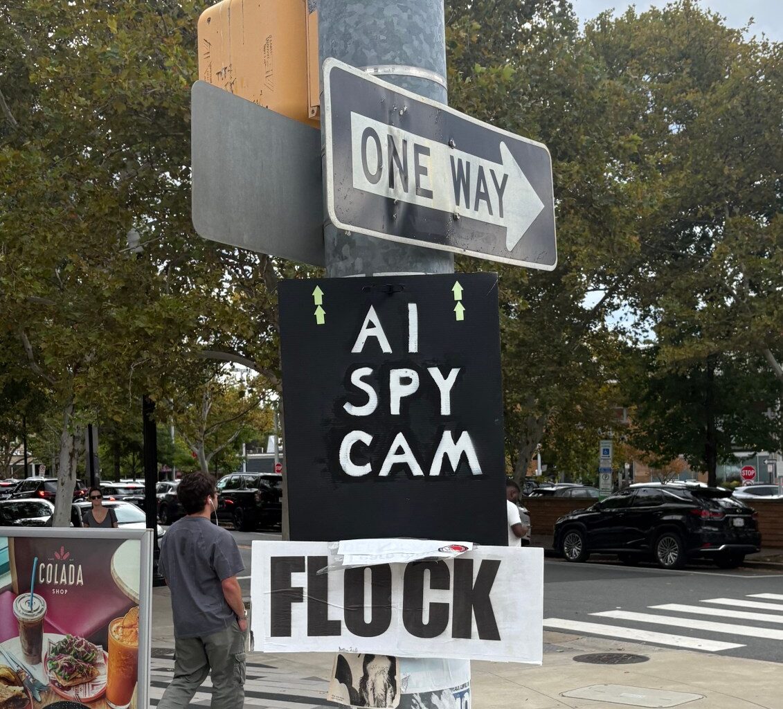 Photo of Flock protest signs in Arlington, Virginia.