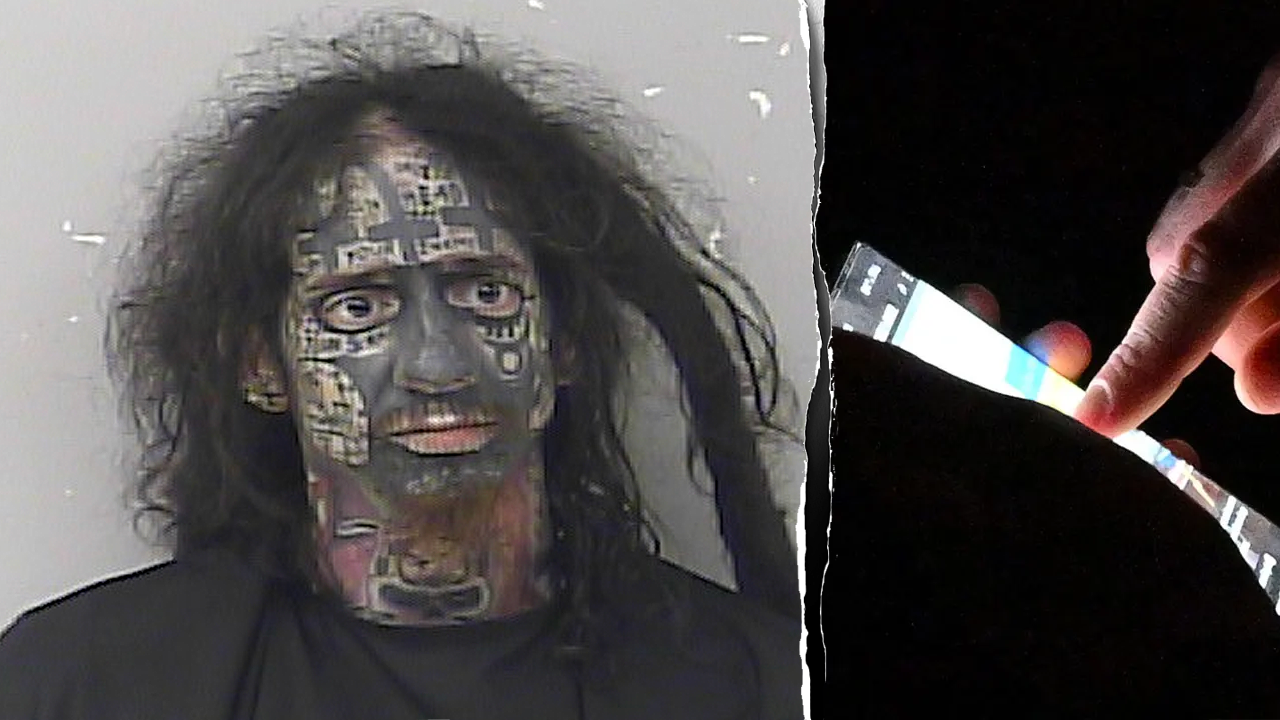 Florida TikTok 'Grey Hat Hacker' accused of exposing women's data