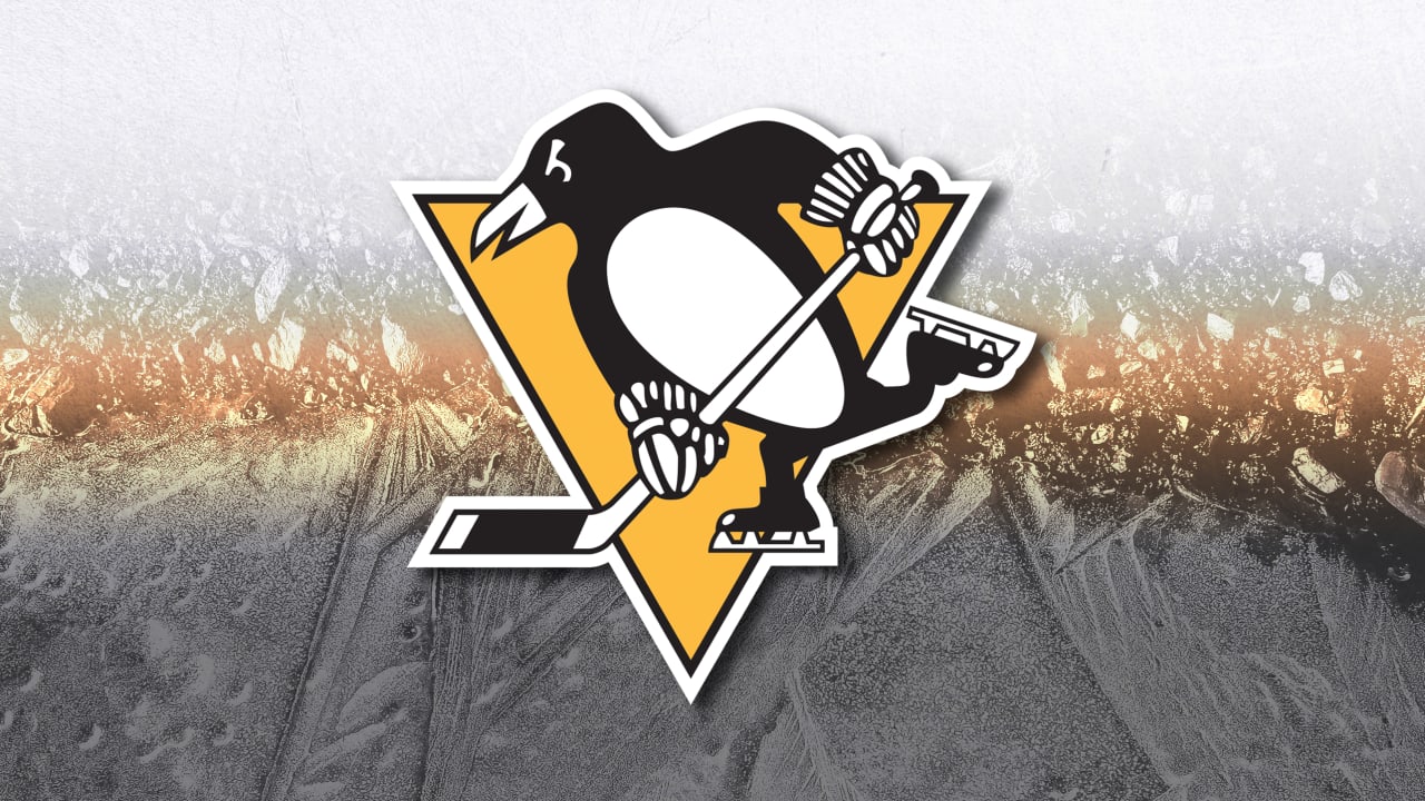 Kindel conscious, stable after medical episode on Penguins plane