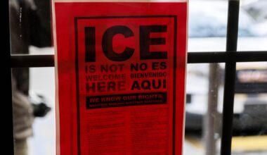 Midterms Actually: The Democrats who bet wrong on ICE