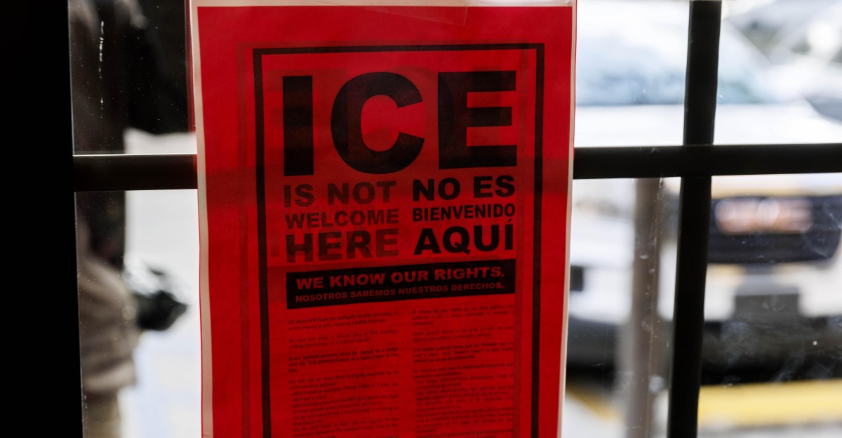 Midterms Actually: The Democrats who bet wrong on ICE
