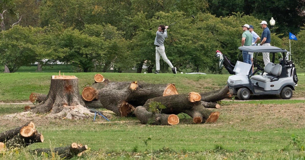 Felled trees are visible on East Potomac Golf Course on Oct. 10, 2026, in Washington, D.C.