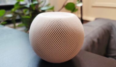 Will the HomeView be Apple’s first smart home success?