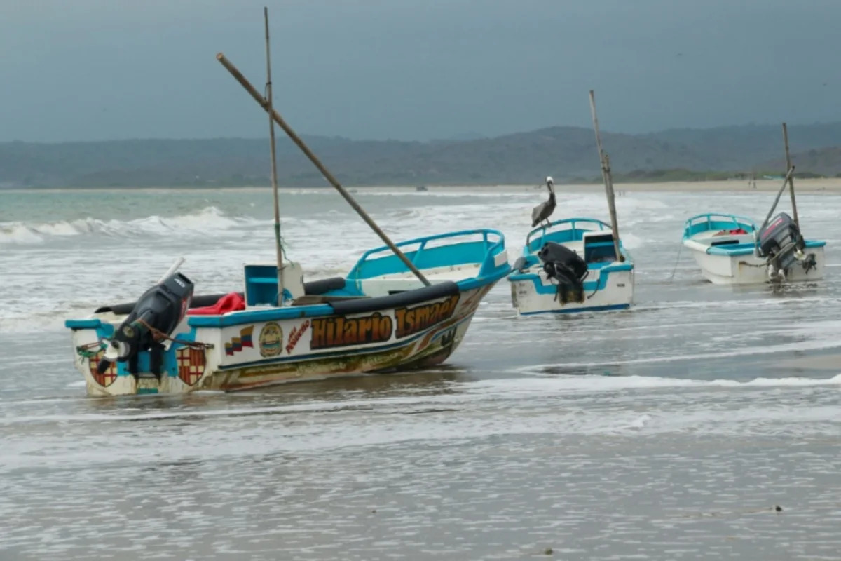 Super El Nino could make 2026 record hottest year: climate monitor