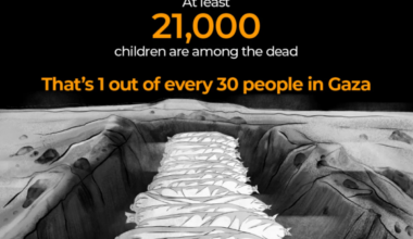 Three years of Israel’s genocide in Gaza: In numbers