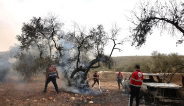 Israeli settlers continue progrom amid olive harvest in occupied West Bank