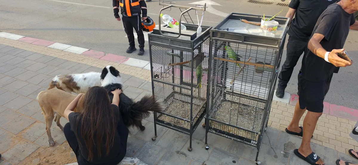 Four dogs, two parrots rescued from Hadera house fire, Israel Fire and Rescue announces