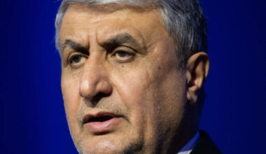 Iran Nuclear Chief Claims Parity With Developed Nations