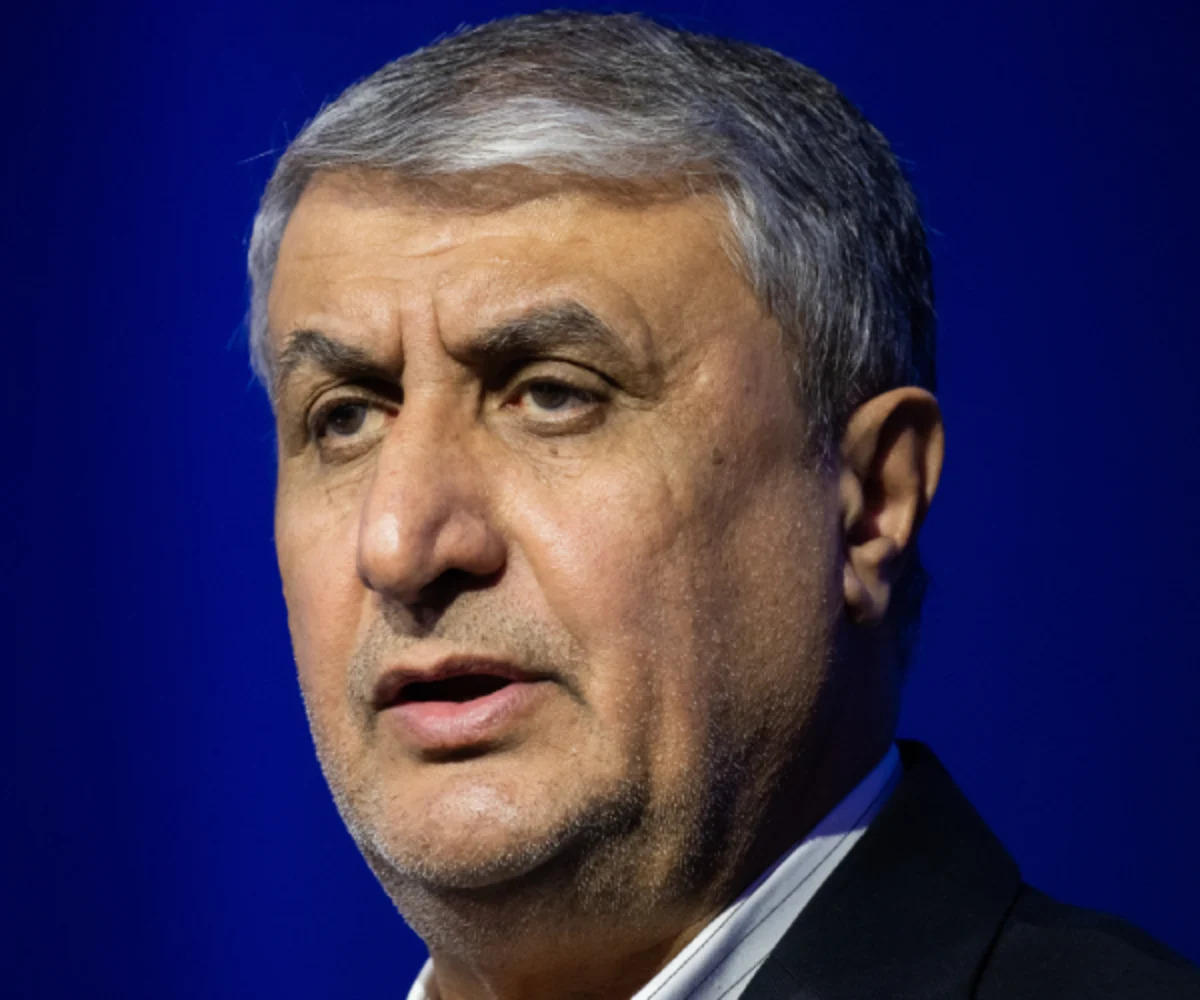 Iran Nuclear Chief Claims Parity With Developed Nations