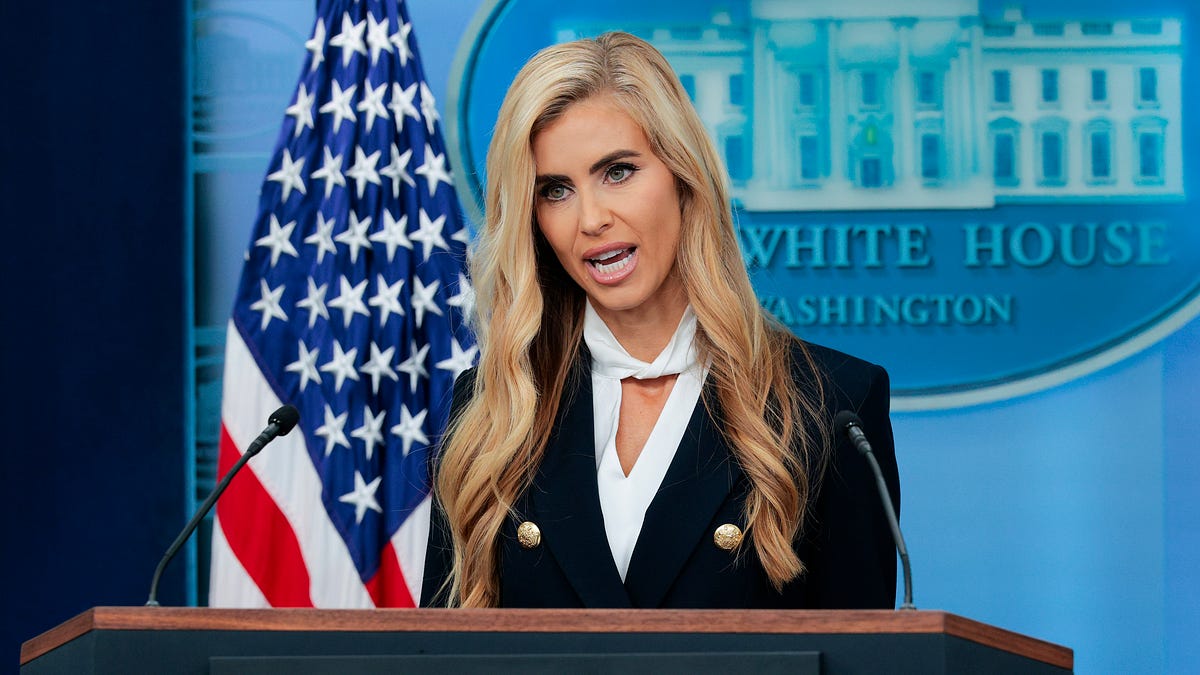 7 Things to Know About the New Insane White House Press Secretary