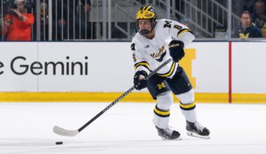 DuPont 'on another level,' tops NHL Central Scouting preliminary players to watch list
