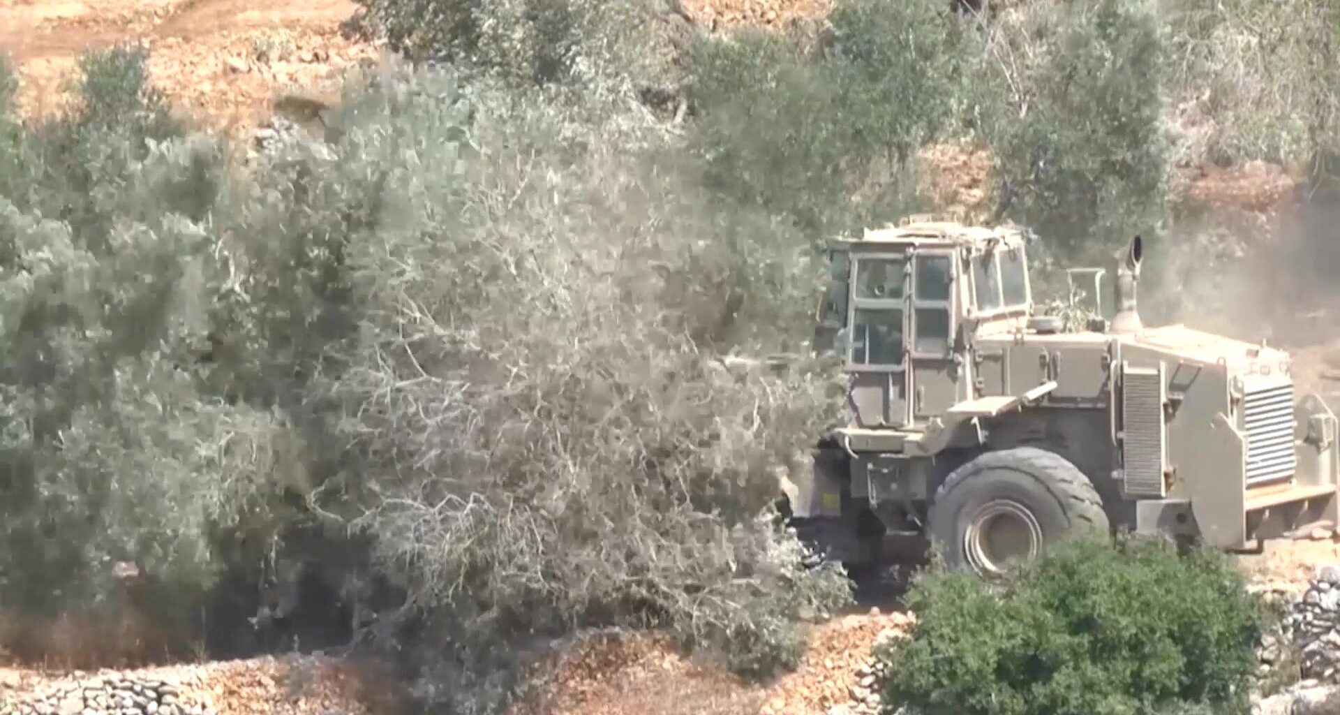 Israeli settlers systematically target the Palestinian olive harvest | Israel-Palestine conflict News