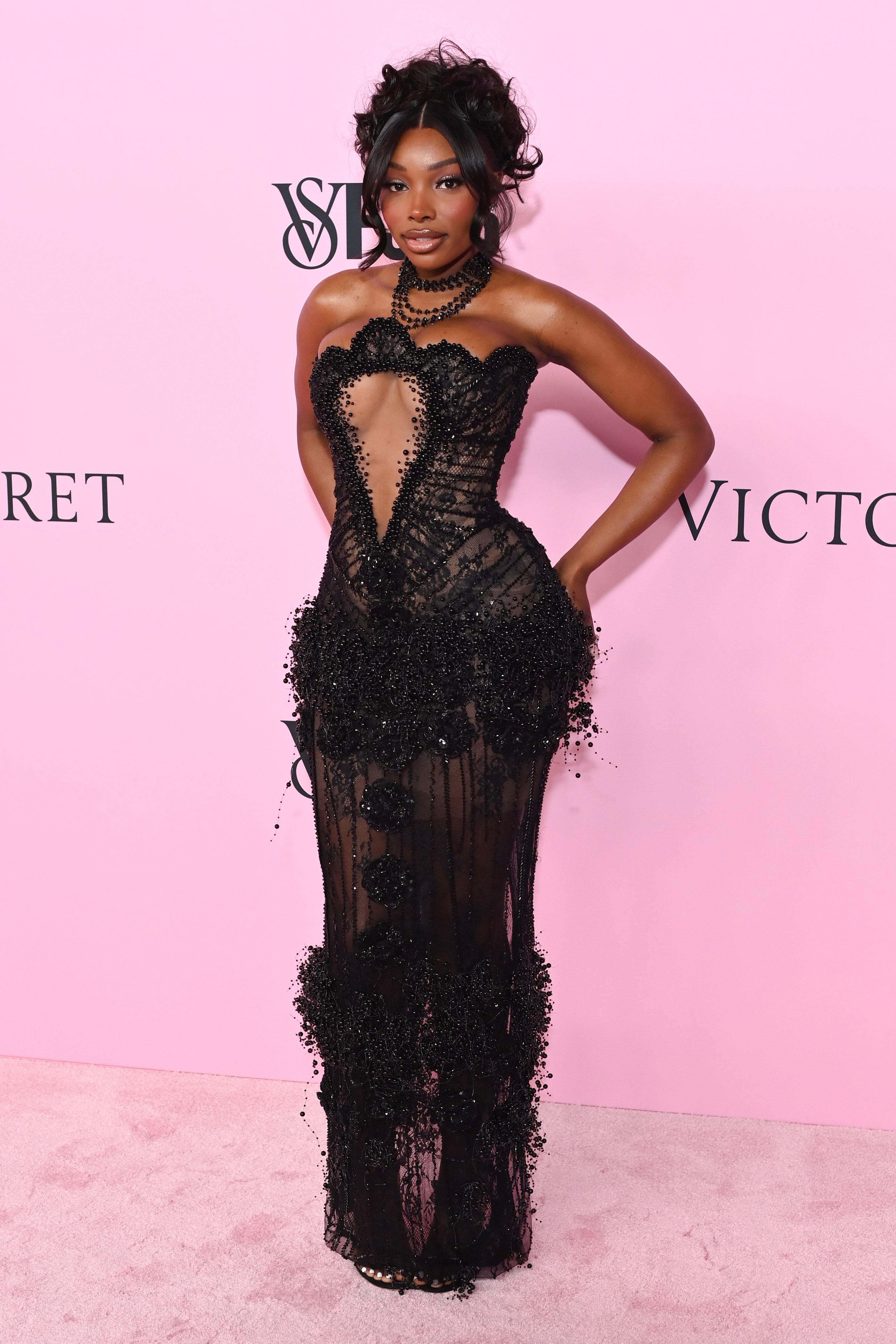 JaNa Craig posing on the pink carpet at the Victoria's Secret Fashion Show.